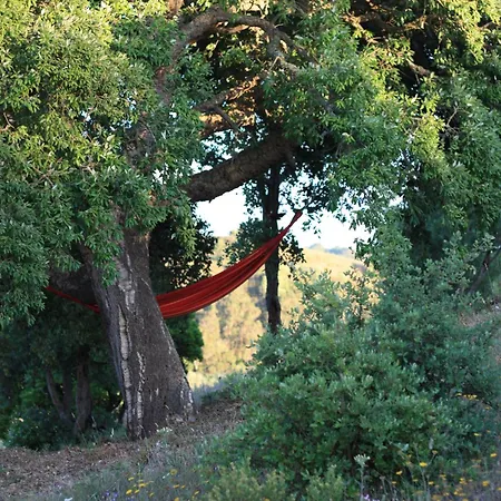 Sitio Ubuntu- Surrounded By Nature * Vila do Bispo